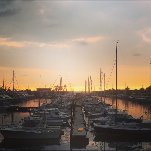 Meet your Posher, Marlaina - Picture 1 of 1